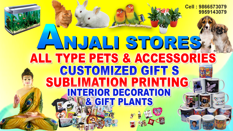 Anjali Stores